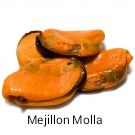 Mejillones