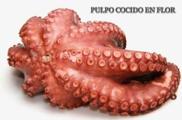 Pulpo cocido flor