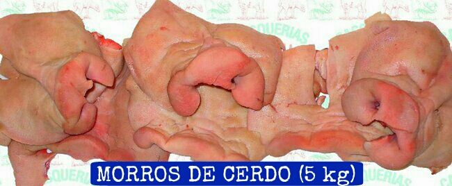 Morros de cerdo
