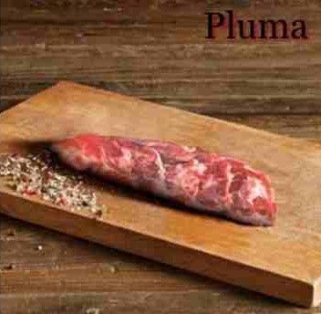 Pluma